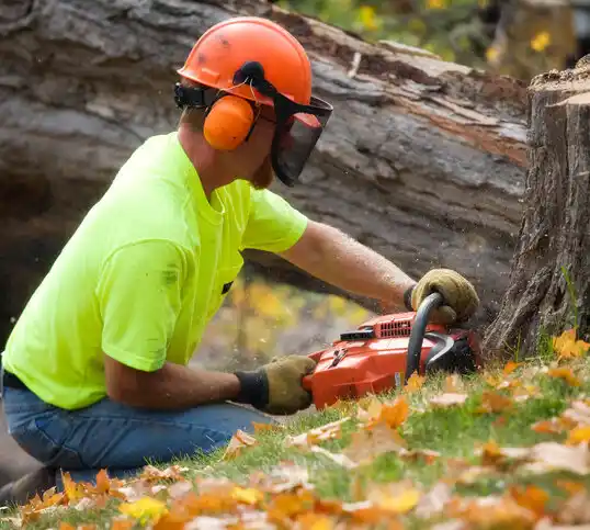 tree services Boles Acres